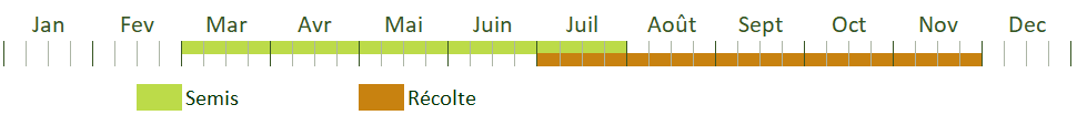 Calendrier de culture